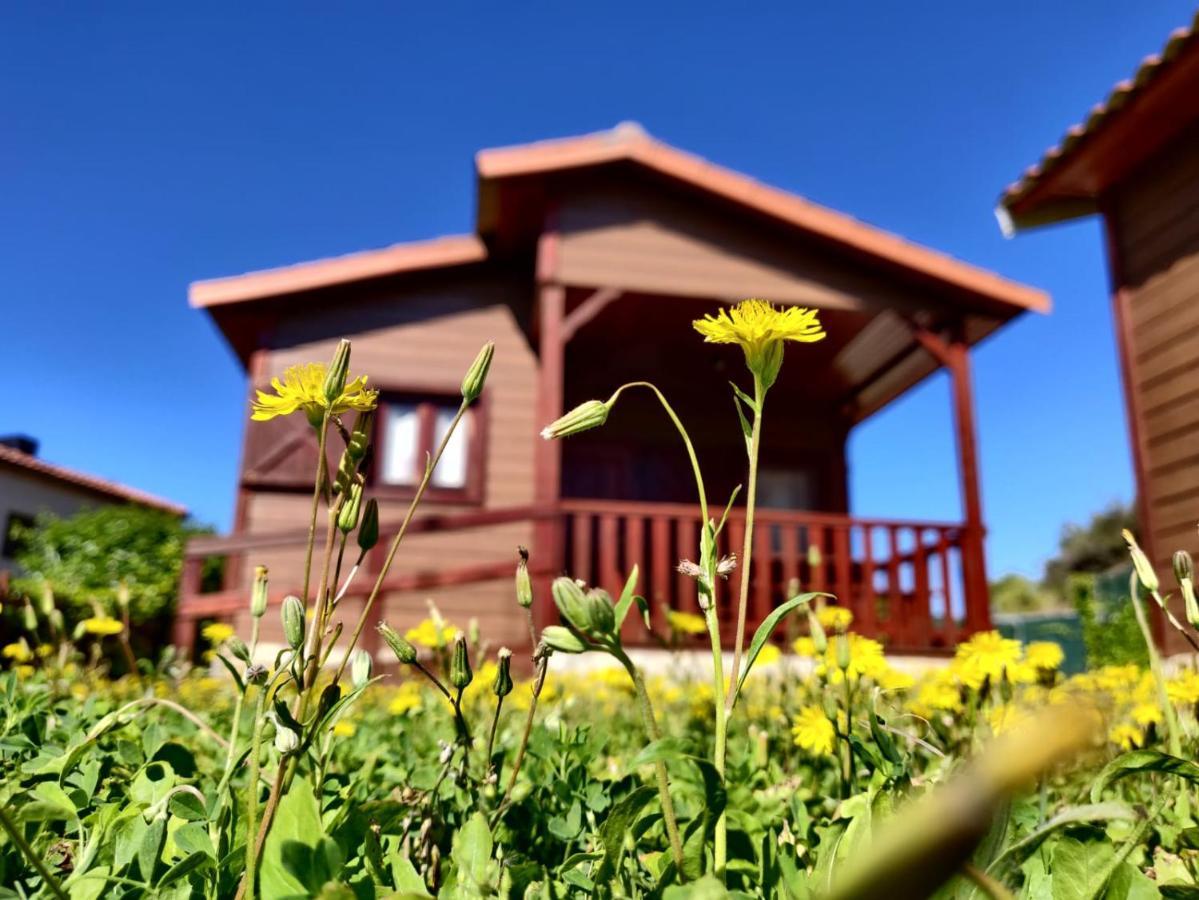 Camping Bungalow Serra De Prades Resort Vilanova de Prades 외부 사진